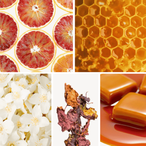Duftnoten: Blutorange, Honig, Jasmin, Patschuli, Karamell
